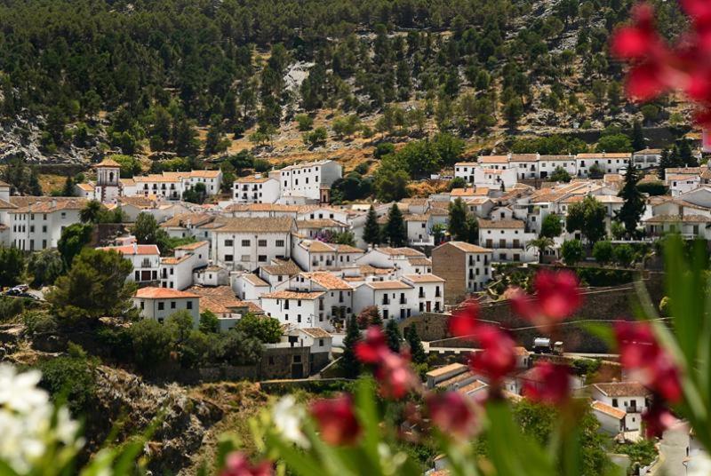 Апартаменти La Casa De La Abuela Regina Грасалема Екстер'єр фото